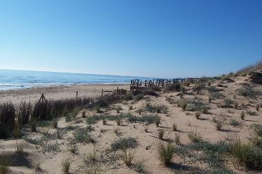 Apartamento de vacaciones en Guardamar del Segura (Alicante / Alacant)Casa de vacaciones