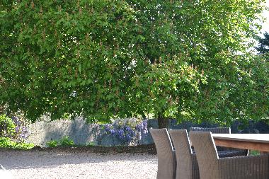 Casa de vacaciones en La Pacaudiere (Loire)Casa de vacaciones