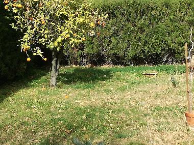 Apartamento de vacaciones en Maier (Cosenza)Casa de vacaciones