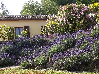 Casa de vacaciones en Staffolo (Ancona)Casa de vacaciones