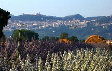 Apartamento de vacaciones en bastia umbra (Perugia)Casa de vacaciones