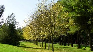 Apartamento de vacaciones en italia (Perugia)Casa de vacaciones