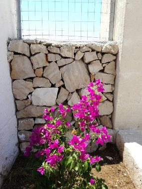 Casa de vacaciones en san pietro in bevagna (Taranto)Casa de vacaciones