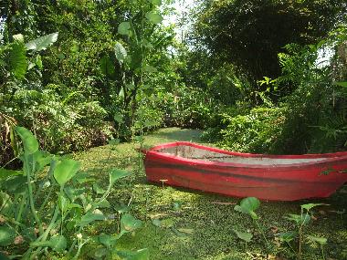 Casa de vacaciones en Chiang Mai (Chiang Mai)Casa de vacaciones