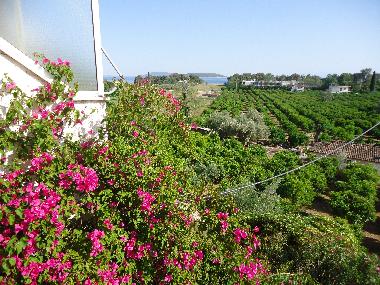 Apartamento de vacaciones en Nafplio (Argolida)Casa de vacaciones