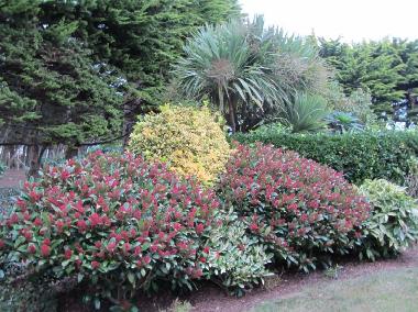 Apartamento de vacaciones en Plouguerneau (Finist�re)Casa de vacaciones