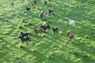 Casa de vacaciones en Pozezdrze (Warminsko-Mazurskie)Casa de vacaciones