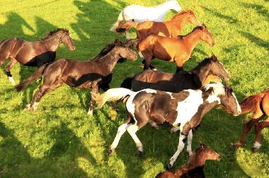 Casa de vacaciones en Pozezdrze (Warminsko-Mazurskie)Casa de vacaciones