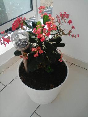 Apartamento de vacaciones en Avepozo Plage (Lome)Casa de vacaciones