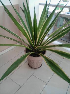 Apartamento de vacaciones en Avepozo Plage (Lome)Casa de vacaciones