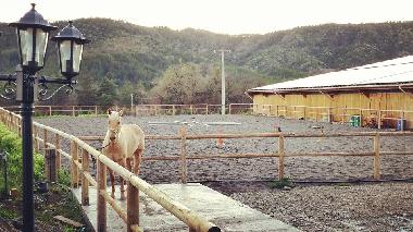 Chalet en La Motte du Caire (Alpes-de-Haute-Provence)Casa de vacaciones