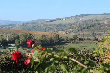 Casa de vacaciones en St Barthlmy Le Plain (Ardche)Casa de vacaciones