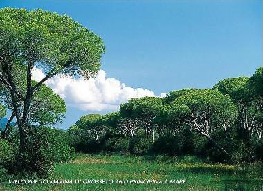 Apartamento de vacaciones en CASTIGLIONE DELLA PESCAIA / PRINCIPINA A MARE (Gro (Grosseto)Casa de vacaciones