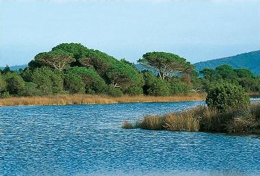 Apartamento de vacaciones en CASTIGLIONE DELLA PESCAIA / PRINCIPINA A MARE (Gro (Grosseto)Casa de vacaciones