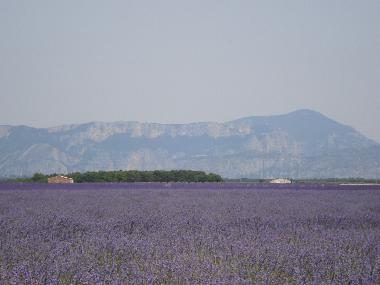 Casa de vacaciones en Aups (Var)Casa de vacaciones