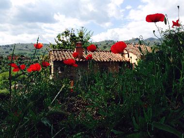 Cama y desayuno en massa e cozzile (Pistoia)Casa de vacaciones