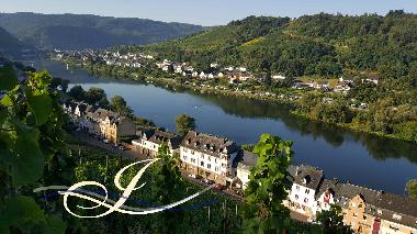 Apartamento de vacaciones en Zell Mosel (Mosel - Saar)Casa de vacaciones