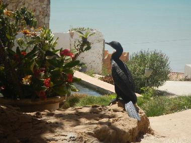 Villa en Popenguine (Thies)Casa de vacaciones