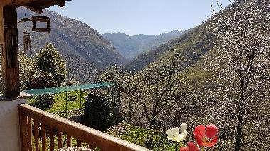 Casa de vacaciones en Orasso  (Verbano-Cusio-Ossola)Casa de vacaciones