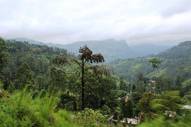 Casa de vacaciones en Moragalla / Godalla (Kalutara)Casa de vacaciones