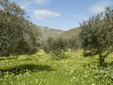 Apartamento de vacaciones en Sivas -Kreta (Irakleio)Casa de vacaciones