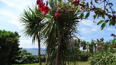 Casa de vacaciones en Tuosist (Kerry)Casa de vacaciones