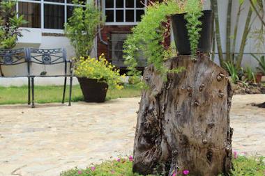 Apartamento de vacaciones en Puerto Plata (Puerto Plata)Casa de vacaciones