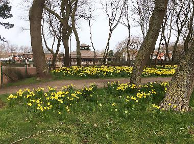 Apartamento de vacaciones en De Haan (Vosseslag) (Flandes)Casa de vacaciones