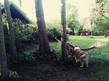 Casa de vacaciones en Barvaux s/o (Wallonia)Casa de vacaciones