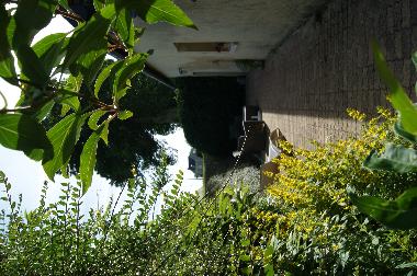 Casa de vacaciones en BRETTEVILLE DU GRAND CAUX (Seine-Maritime)Casa de vacaciones