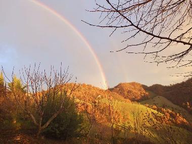 Cama y desayuno en Sassocorvaro (Pesaro e Urbino)Casa de vacaciones