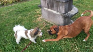 Casa de vacaciones en Dirkshorn (Noord-Holland)Casa de vacaciones