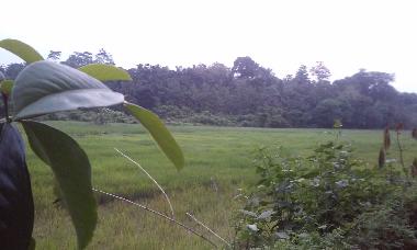 Casa de vacaciones en KALUTARA (Kalutara)Casa de vacaciones