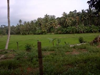 Casa de vacaciones en KALUTARA (Kalutara)Casa de vacaciones