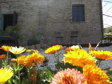 Apartamento de vacaciones en Ripatransone (Ascoli Piceno)Casa de vacaciones