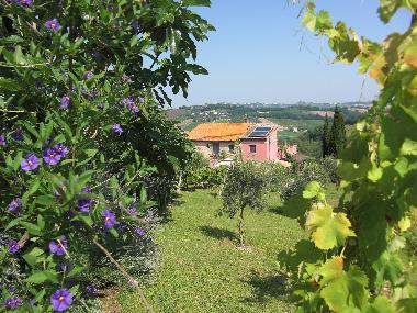 Apartamento de vacaciones en Ripatransone (Ascoli Piceno)Casa de vacaciones