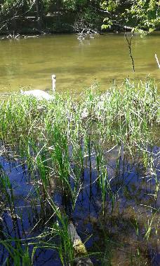 Casa de vacaciones en Krutyn (Warminsko-Mazurskie)Casa de vacaciones