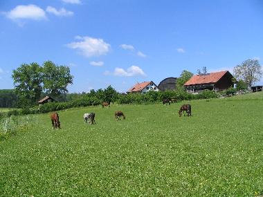 Chalet en Oberwil-Lieli (Z�rich)Casa de vacaciones