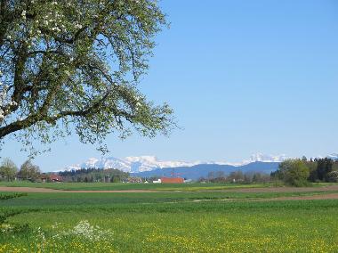 Chalet en Oberwil-Lieli (Z�rich)Casa de vacaciones