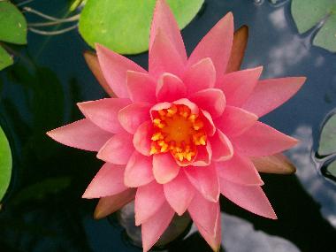 Casa de vacaciones en Berive (Runion)Casa de vacaciones