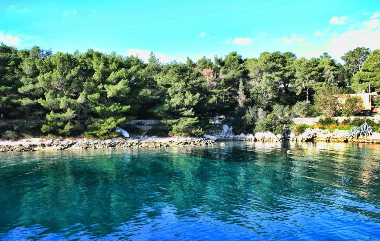 Apartamento de vacaciones en Molat (Zadarska)Casa de vacaciones