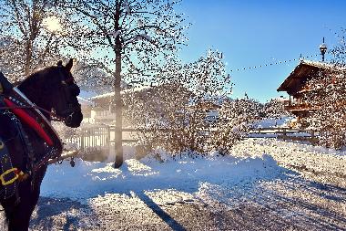 Apartamento de vacaciones en Oberau Wildschoenau (Tiroler Unterland)Casa de vacaciones