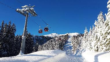 Apartamento de vacaciones en Wildschnau (Tiroler Unterland)Casa de vacaciones