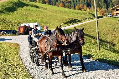 Apartamento de vacaciones en Wildschnau (Tiroler Unterland)Casa de vacaciones