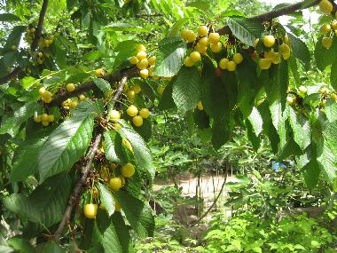 Villa en Golden Sands (Varna)Casa de vacaciones