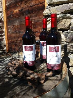 Apartamento de vacaciones en Dorf Tirol  (Bolzano-Bozen)Casa de vacaciones