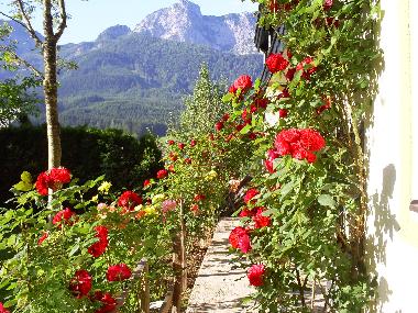 Apartamento de vacaciones en Abtenau (Salzburg und Umgebung)Casa de vacaciones