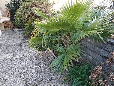 Apartamento de vacaciones en Platja d