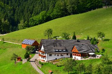 Apartamento de vacaciones en Oppenau/Schwarzwald (Schwarzwald)Casa de vacaciones