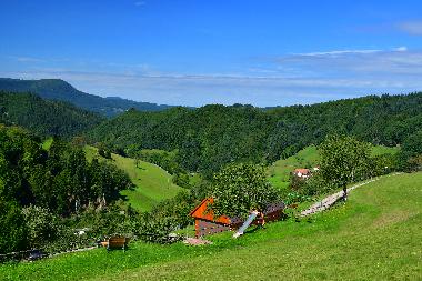 Apartamento de vacaciones en Oppenau/Schwarzwald (Schwarzwald)Casa de vacaciones
